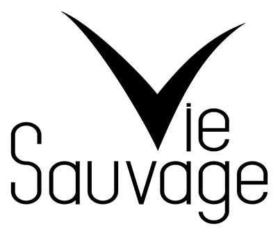 Vie Sauvage, agence de voyages spécialisée en rencontres avec la faune
